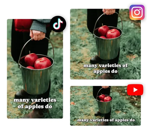 Custom aspect ratios for social media